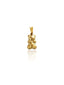 TEDDY charm
