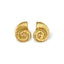 SHELL earrings