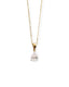 SPOT LIGHT Necklace
