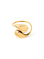 SAGE Ring