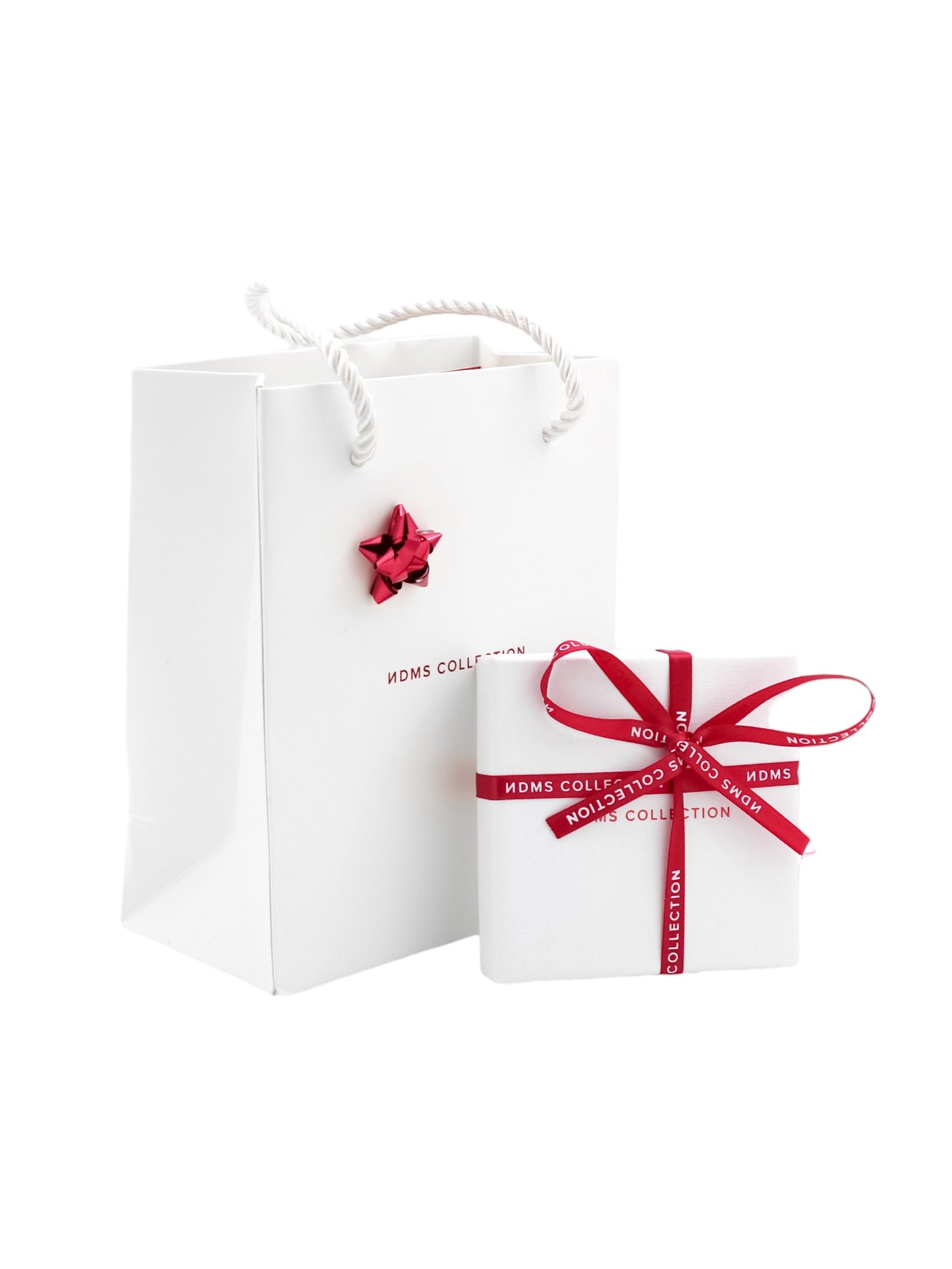 Gift Bag S. Valentino ed. con fiocco e cartolina regalo
