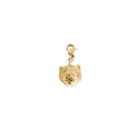 FUERZA Charm